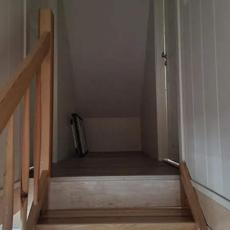 Alojamento de Turismo Selvagem Letniskowe Bez Zwierzat *