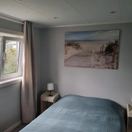 Letniskowe Bez Zwierzat