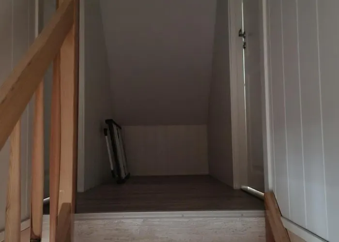 Domek letniskowy Letniskowe Bez Zwierząt *